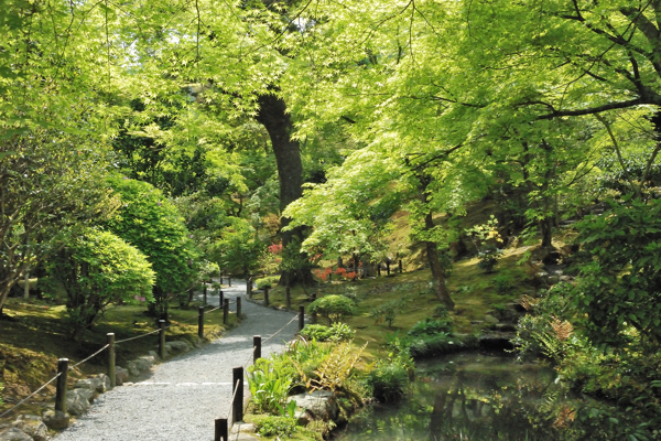 天龍寺