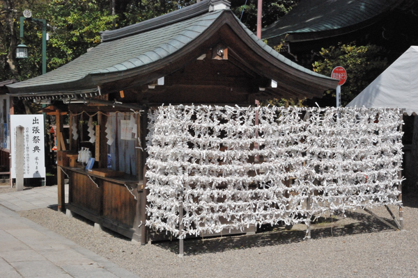 八坂神社 おみくじ