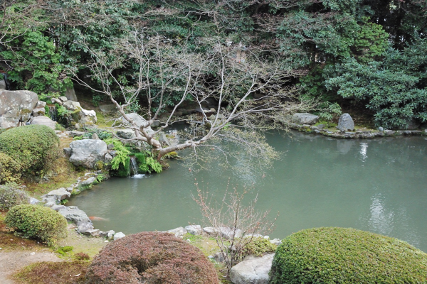 随心院 庭園